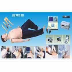 CPR Training Manikin ( BEP/ACLS 800)