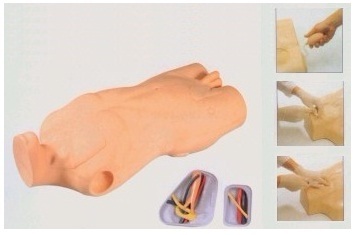 The Function of Central Venous Puncture and Inject