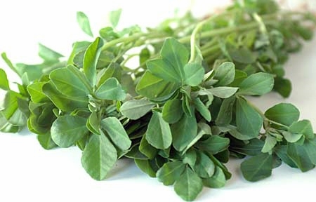 Kasuri Methi leaves