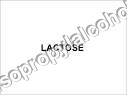 LACTOSE LACTOSE