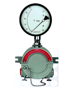 EX-200DPG: Differential Pressure Switch