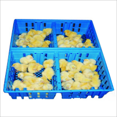 Chick Transport Basket
