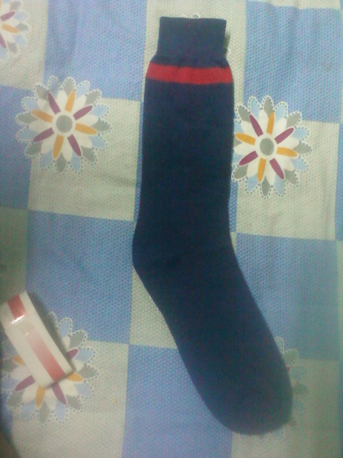 Navy Blue Red Stripe Socks