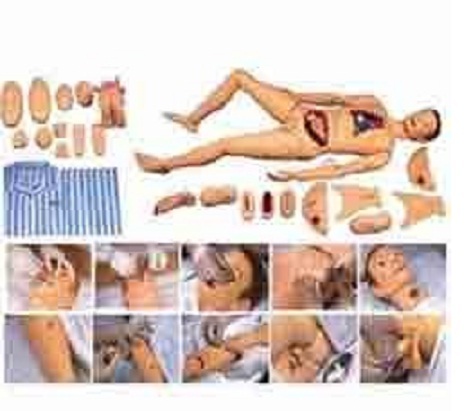 Advanced Nursing & Wound Care Manikin