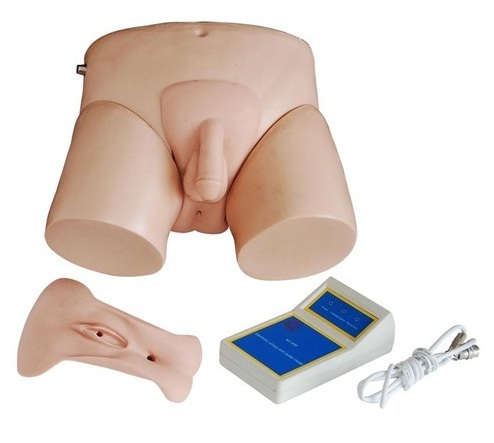 Nurse Training Models