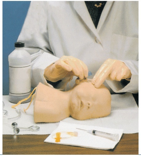 Neonate Scalp Venipuncture Model BEP/HS6E