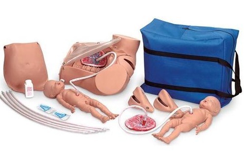 Medical Simulator Models