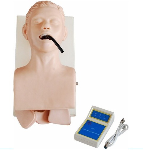 Human Trachea Intubation BEP - 407