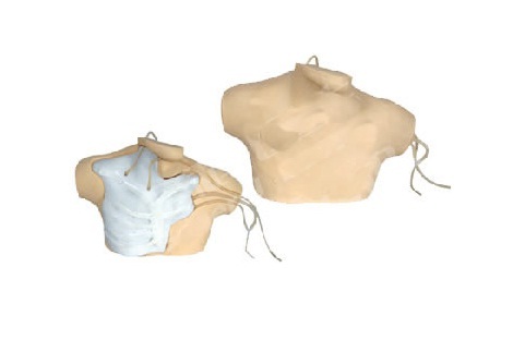 Catheterization Simulator Models