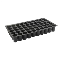 Seed Trays