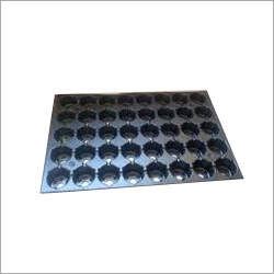 Pro Seedling Trays