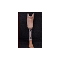 Below Knee Prosthesis