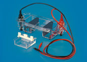 Mini Submarine Electrophoresis Unit