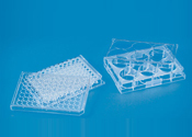 Tissue Culture Plate – Sterile