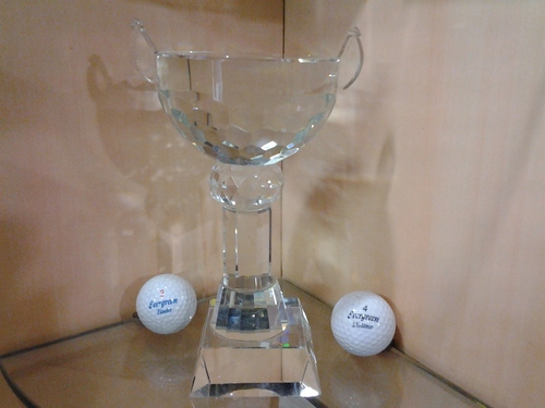 CRYSTAL TROPHY - Crystal Glass, 250-300 mm Height, Clear | Award Recognition, Elegant Design, Gift Box Packaging