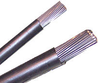 Galvanized Steel Wires