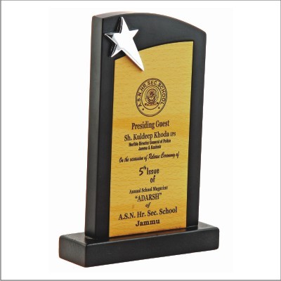 Wooden Trophies