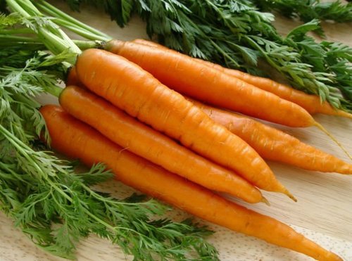 Straight Farm Fresh Carrots