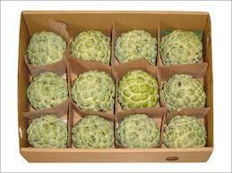 Seasonal Fruits