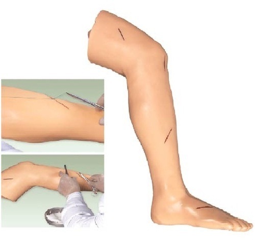 Advanced Surgical Suture Leg ( BEP/LV2 )