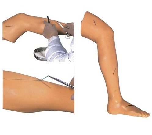 Advanced Suture Practice Leg BEP-440