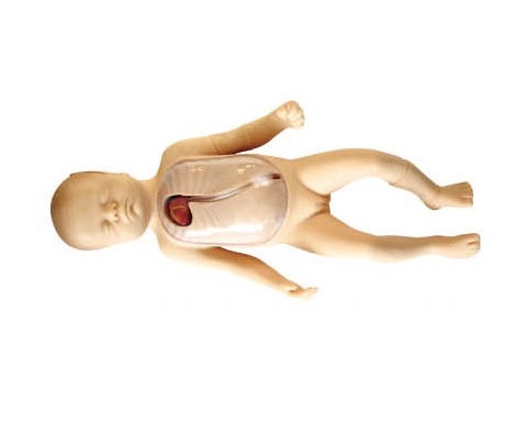 Adv, Neonatal Peripheral & Central Vein Intubation