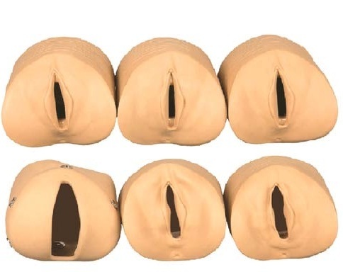 Gynecological Models