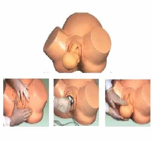 Gynecological Models