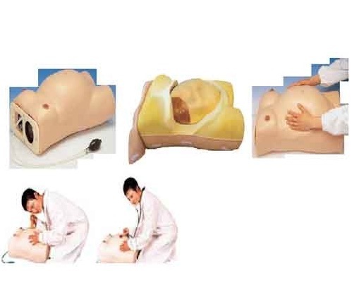 Maternity Examination Model ( BEP/FW2 )