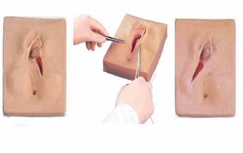 Vulva Suturing Training Simulato ( BEP/F3B )