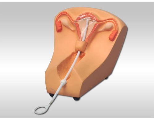 IUD Training Simulator BEP-F5N