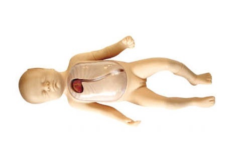 Neonatal Peripheral & Central Vein Intubation