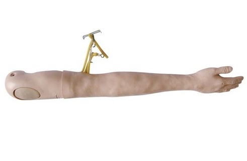 Multi-Functional IV Training Arm BEP-446