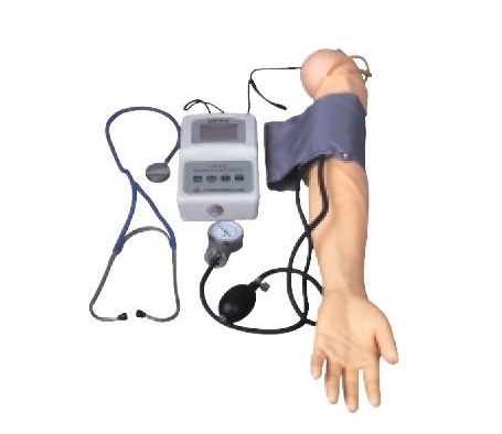 Advanced Blood Pressure Training Arm Model