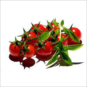 Tomato Exhibition