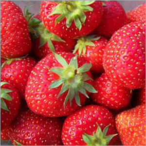 Strawberry Exhibition