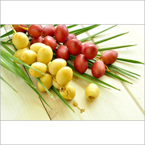 Dates Exhibition