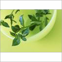 Herbal Care Products