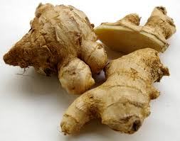 Ginger