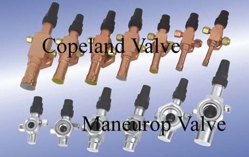 Compressor valve (Manuerop valve, Copeland valve)