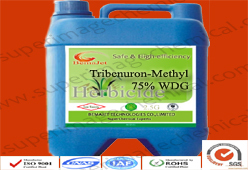 Tribenuron-Methyl 75% WDG