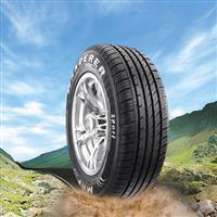 Wanderer Sport
