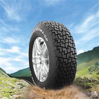 ZGP Radial Tyres