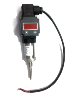 RT5100 : Insertion Type Temperature Transmitter