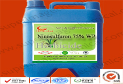 Nicosulfuron 75% WP