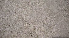 Mint Green Granite Slabs