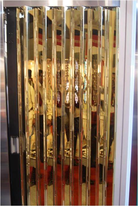 SS Glod Mirror Finish Door