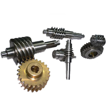 Warm- wheels & gears