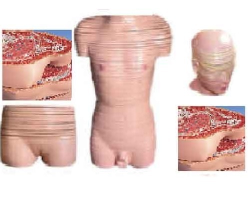 Human Torso Horizontal Shears ( BEP-100 )