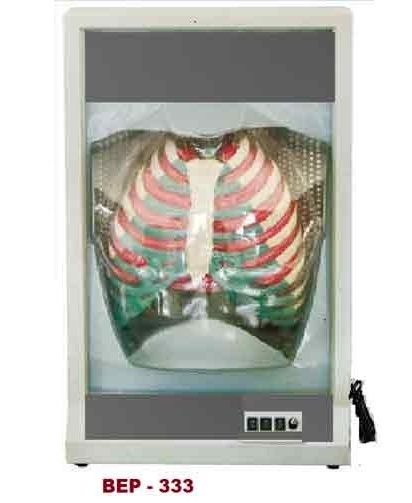Functional Human Respiration Model ( BEP-333 )